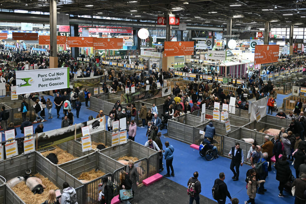 Le Salon de l'agriculture 2026 devra se passer de vaches.