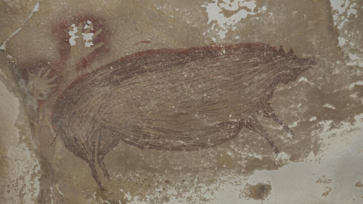 This cave painting at Leang Tedongnge in Sulawesi, Indonesia is the world's oldest known cave painting: a life-sized picture of a wild pig that was made at least 45,500 years ago