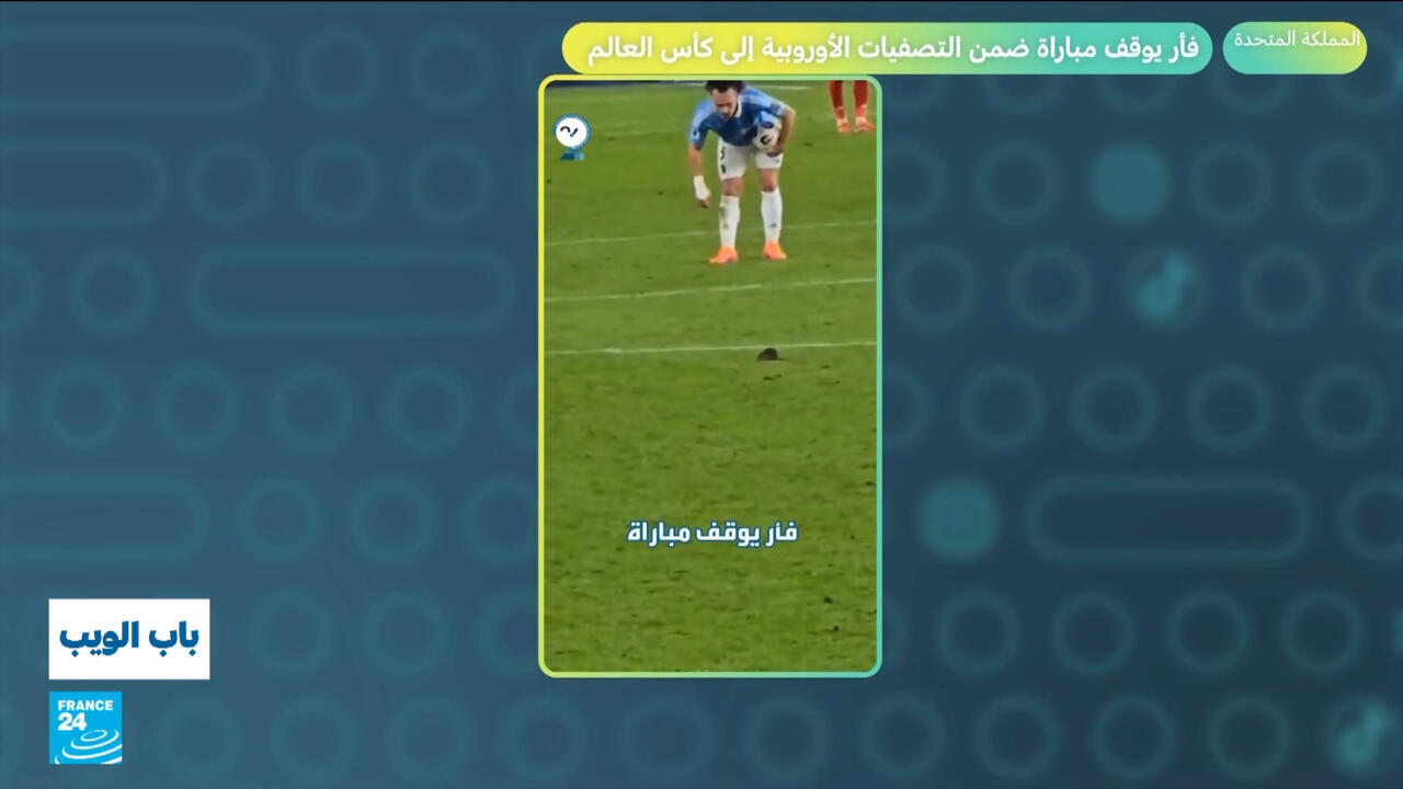 المملكة المتحدة.. فأر يوقف مباراة ضمن التصفيات الأوروبية إلى كأس العالم