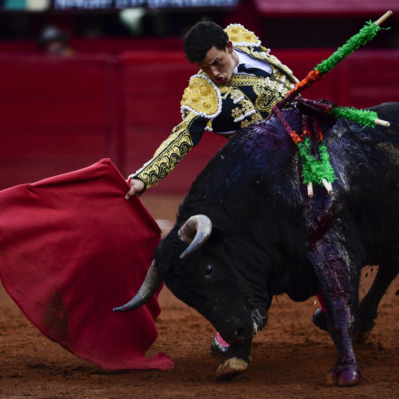 Mexico City Bullfight Schedule 2022 Mexico City, Bastion Of Bullfighting, Considers Ban