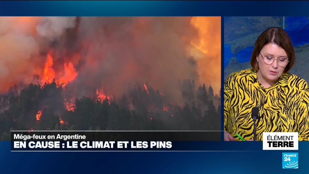 Les causes environnementales des méga-feux en Argentine