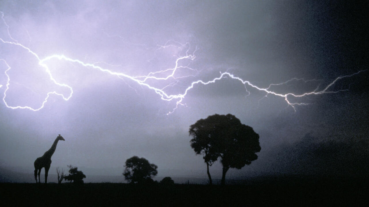 Молния над дубом картинка для детей. 2. Mine lightning. Burza. Mine lightning.