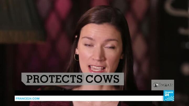 Painting eyes on cows' behinds and the group of young women fighting harassment in Mexico