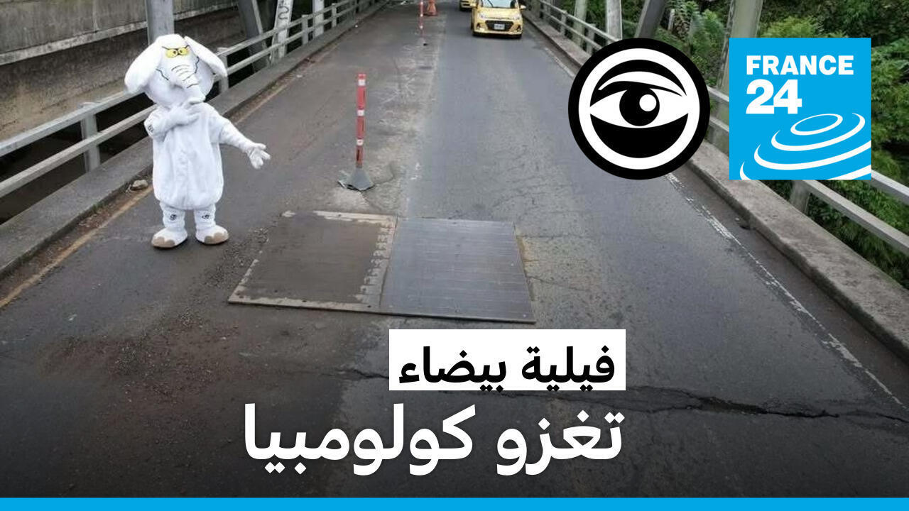 كولومبيا: "الفيل الأبيض" يسلّط الضوء على ظاهرة إهدار المال العام