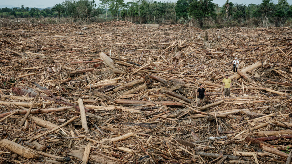 Indonesia to revoke 22 forestry permits after deadly floods