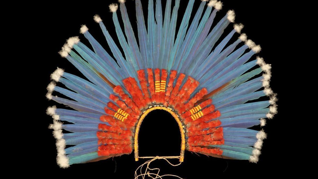 L'instant + : au musée du Quai Branly, les cultures amazoniennes à l'honneur