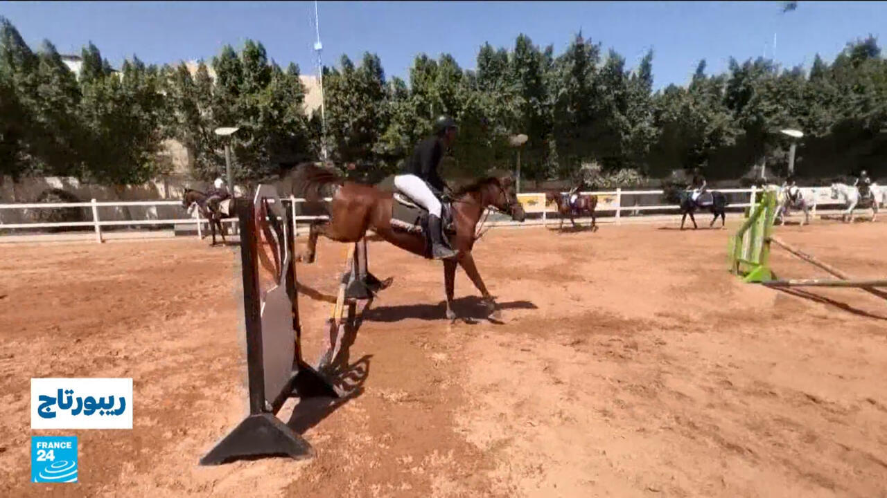 الفروسية تنهض من رماد الحرب.. فرسان اليمن يطاردون الأمل رغم شحّ الدعم