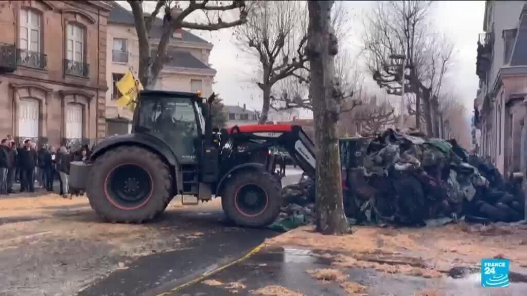 Dermatose : la ministre de l'Agriculture attendue dans le Sud-Ouest