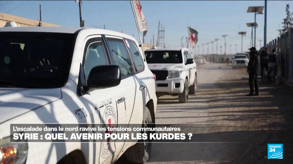 Syrie : les Kurdes lâchés par l'Occident ?