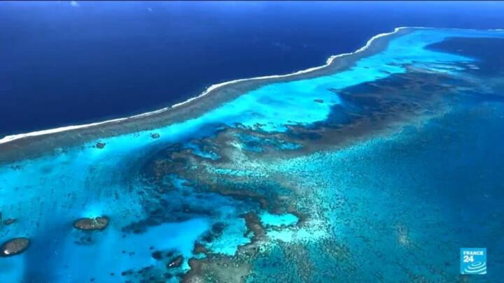 Coral reefs under threat due to surge in global temperatures