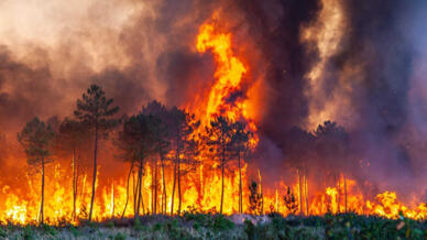 Imagen general de un incendio cerca de Lnadiras, en el departamento de Gironda, suroeste de Francia, el 17 de julio de 2022.