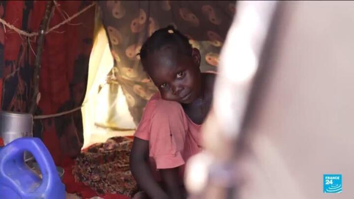 UN accuses Sudanese forces of crimes against humanity amid Darfur crisis