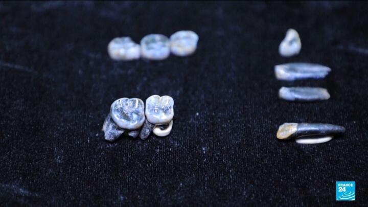 Teeth that shake up human evolution: Ethiopian fossils shed light on ancestors