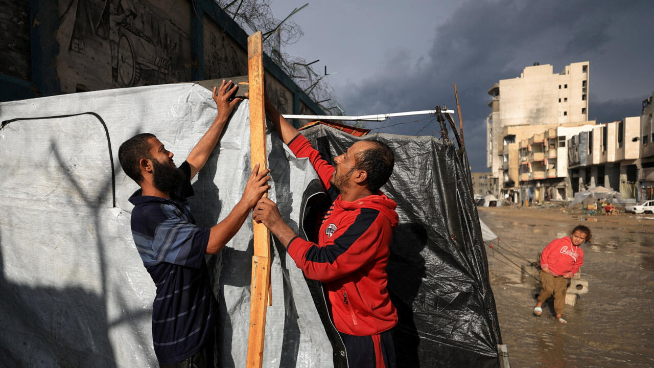 "أول خطوة على طريق طويل نحو السلام"... أبرز ردود الفعل عقب تبني مجلس الأمن لخطة ترامب بشأن غزة