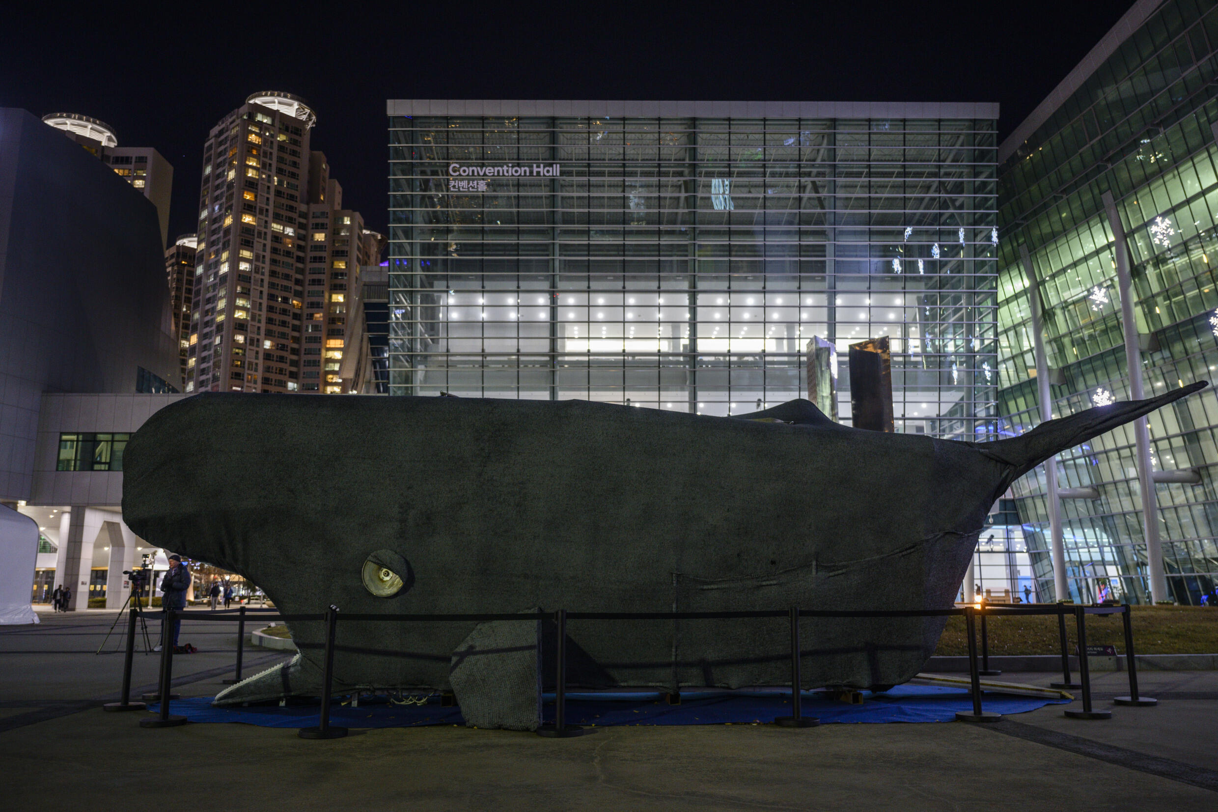 Une installation artistique, figurant une baleine à l'intérieur rempli de plastique, est disposée devant le palais des congrès de Busan, en Corée du Sud, le 30 novembre 2024.