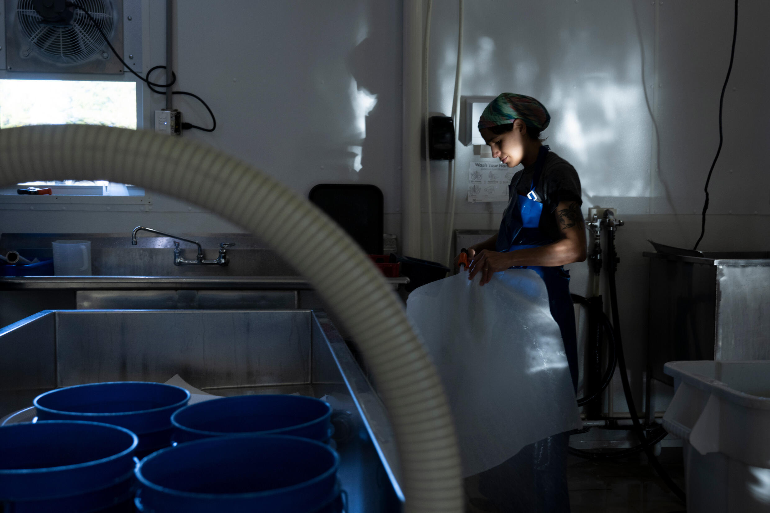 La quesera Ana Argüello limpia el equipo durante la fabricación de queso en Meadow Creek Dairy, en Galax, Virginia, Estados Unidos, el 5 de octubre de 2022