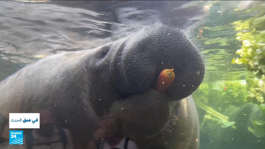 لا شيء يُهدر.. فرنسا تحارب هدر الطعام بحلول مبتكرة تُنعش الطبيعة والاقتصاد