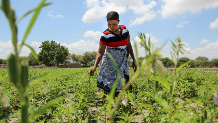 Global aid, local focus: the mission to end poverty by 2030