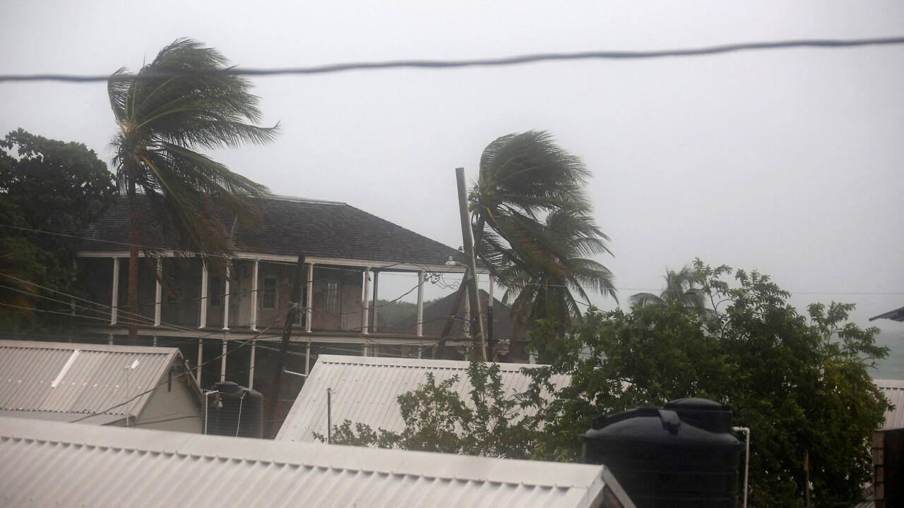 Les palmiers se balancent dans le vent à l'approche de l'ouragan Melissa, à Port Royal, en Jamaïque, le 27 octobre 2025.
