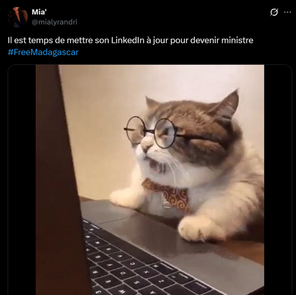 A Malagasy internet user's account mocks the president's proposal to use LinkedIn to hire  government ministers.