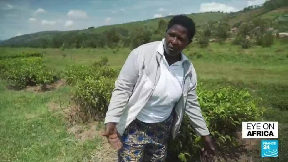 Rwanda is one of the most affected country by climate change on the