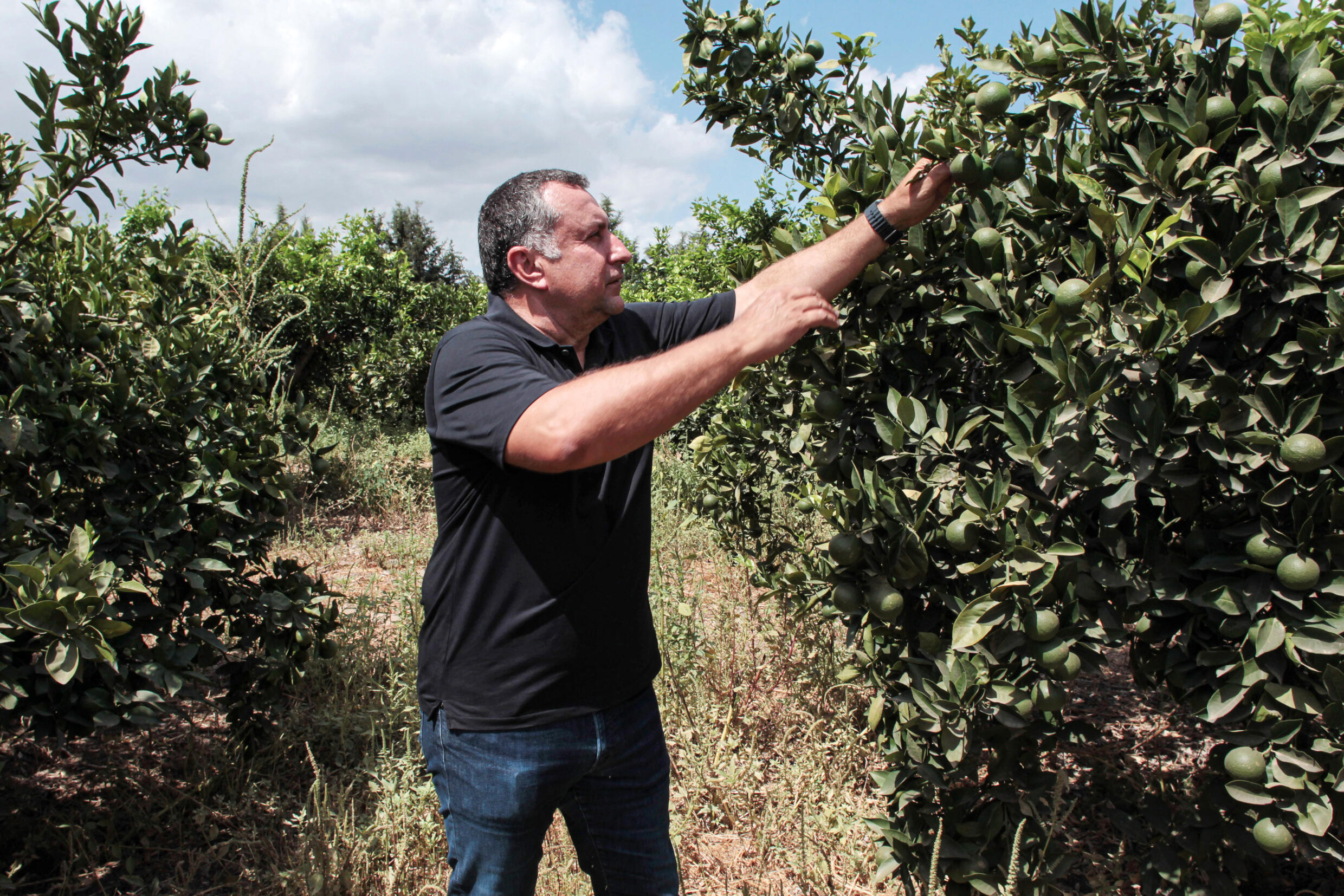 L'agriculteur Yassine Gargouri, qui a fait appel aux services de la startup RoboCare, inspecte sa plantation d'agrumes, le 30 août 2023 à Nabeul, au Maroc