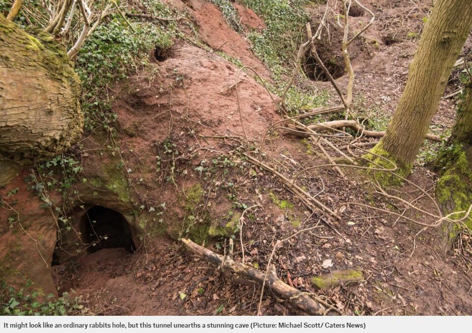 Il faut passer par un terrier de lapin pour accéder à ces tunnels