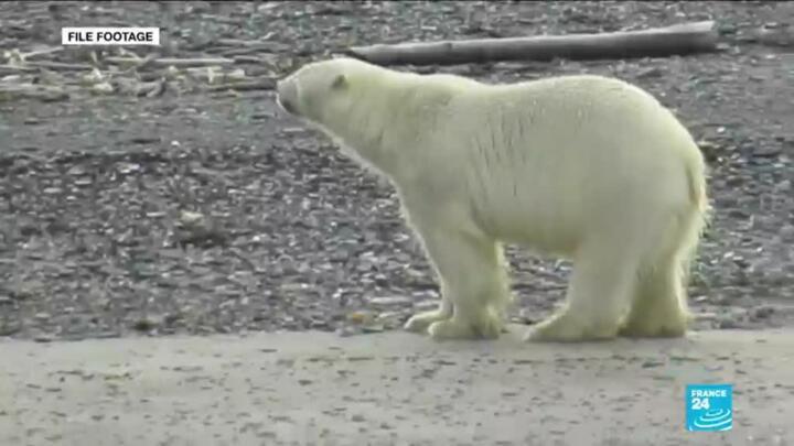 September was world's hottest on record, EU climate change service says