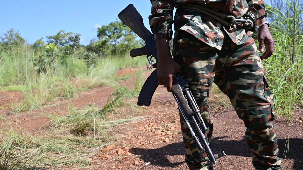 حمى الذهب تفتح شهية كثيرين في متنزه كوموي بساحل العاج