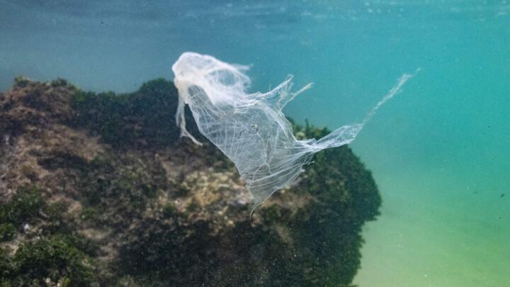 A plastic bag floats in the waters of the Indian Ocean off the coast of Ahangama in Galle, Sri Lanka.