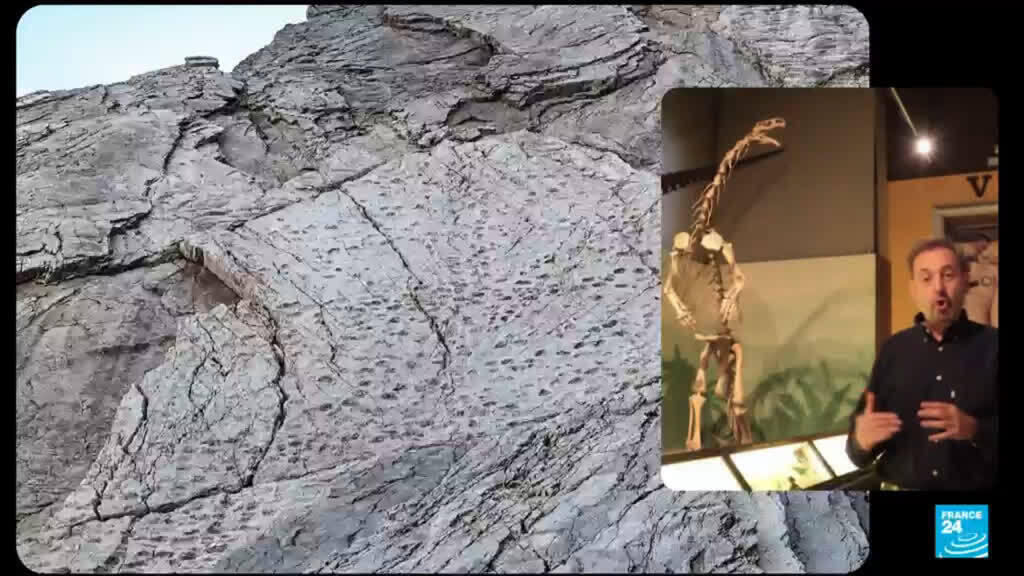 إيطاليا: اكتشاف الآلاف من آثار أقدام الديناصورات بالقرب من موقع الألعاب الأولمبية الشتوية