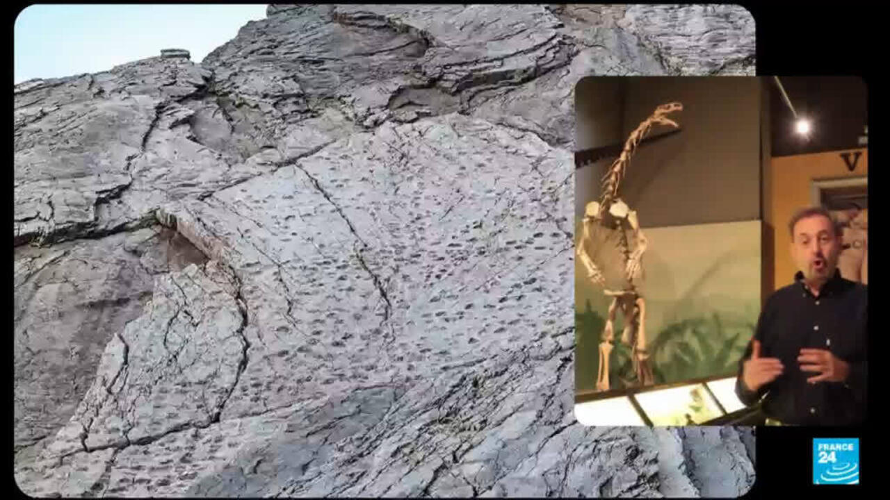 Italië: Duizenden voetafdrukken van dinosaurussen ontdekt nabij de locatie van de Olympische Winterspelen