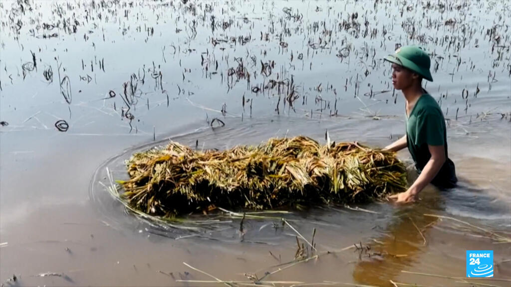 Au Vietnam, le Delta du Mékong menacé par la montée de la mer