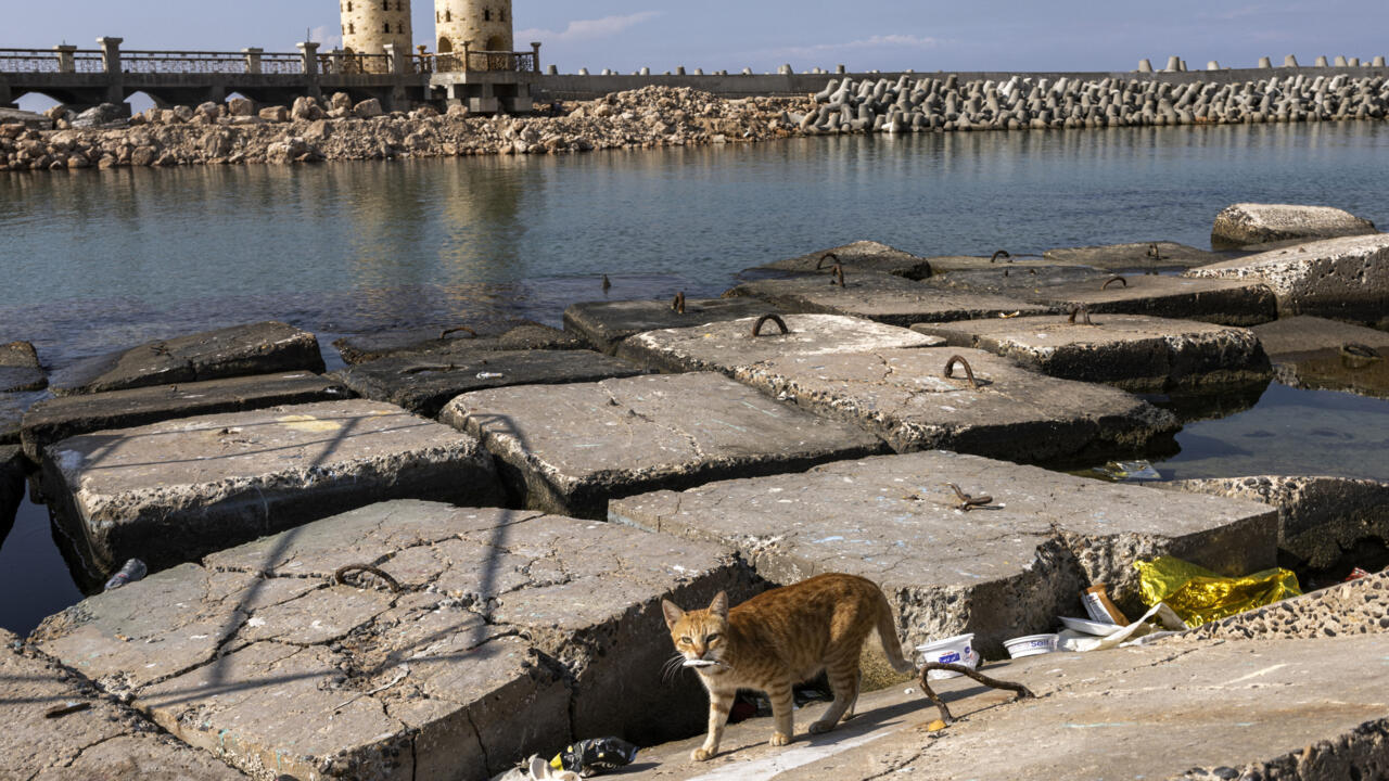 علماء الآثار يعثرون على حطام سفينة قديمة قبالة الإسكندرية