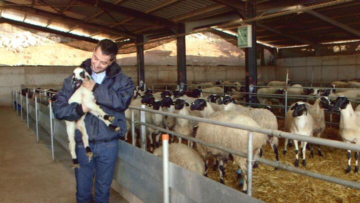 A fair deal for farmers: How to make agriculture pay in 2018 & beyond? (part 1)