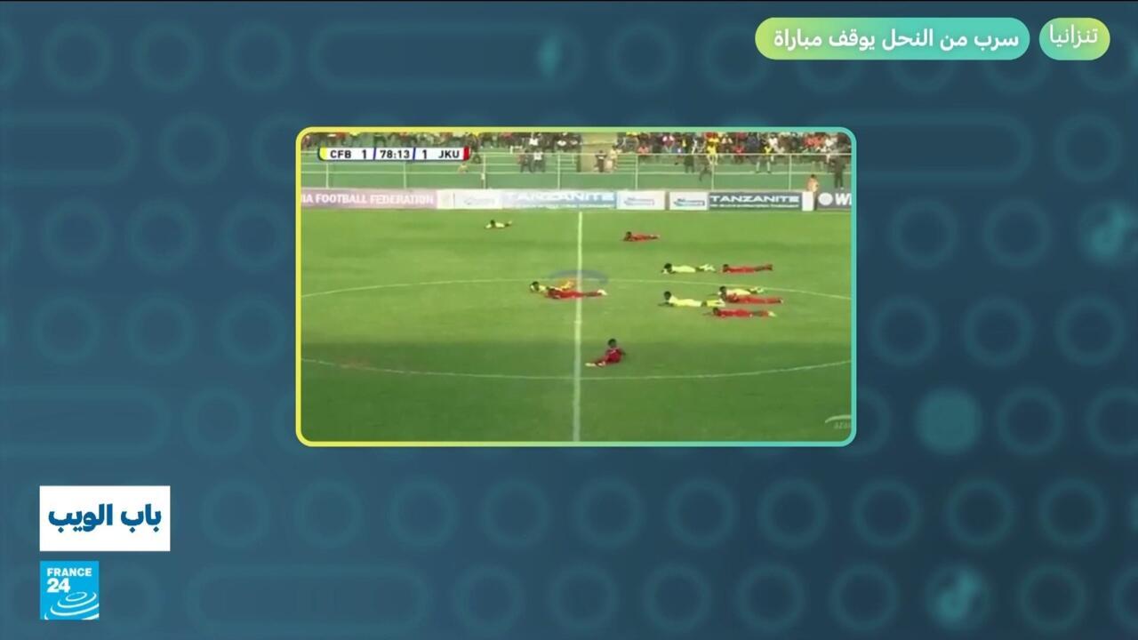 تنزانيا.. سرب من النحل يوقف مباراة!