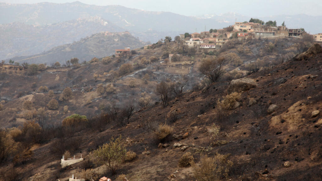 الجزائر: إجلاء عشرات العائلات جراء حرائق غابات كبيرة غرب العاصمة