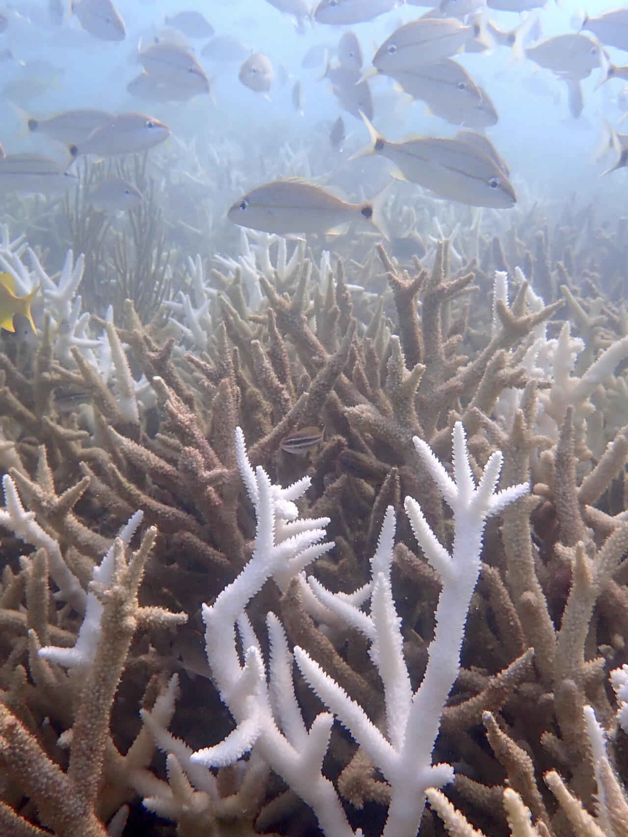 80defdaea389efd5077ec49fea176f