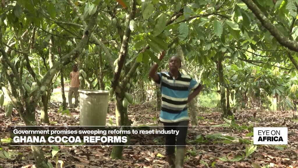 حكمت محكمة نيجيرية على مواطنين صينيين بالسجن لمدة 46 عاما