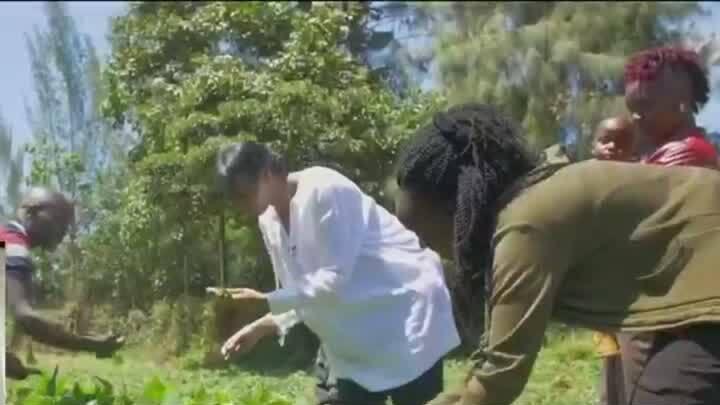 Africa climate summit 2023: A new global financial architecture to help green growth