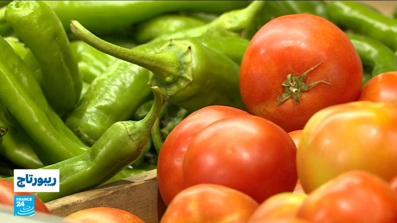 "ينبوت".. تجربة محلية تعكس صعود المنتجات العضوية في الأردن