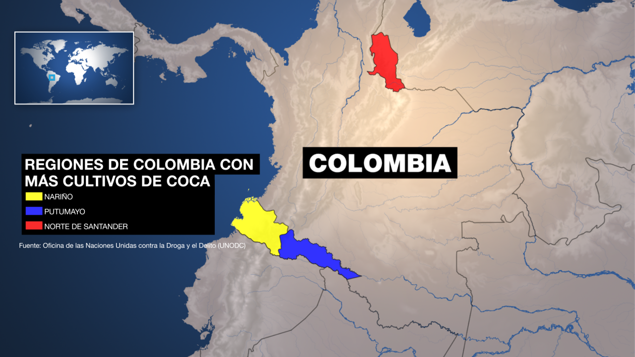 Los departamentos colombianos de Nariño, Putumayo y Norte de Santander son los que concentran la mayor extensión de plantaciones de hoja de coca.