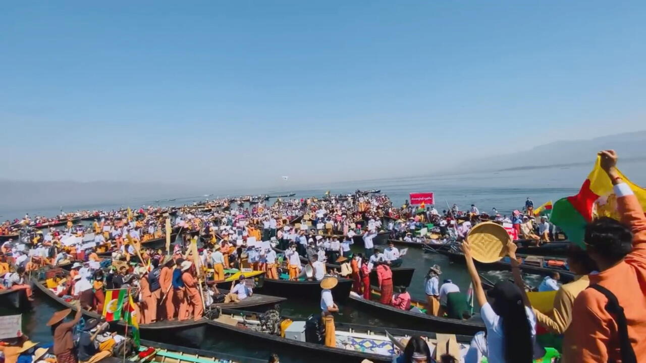 Eshak, sik va mushuk surati