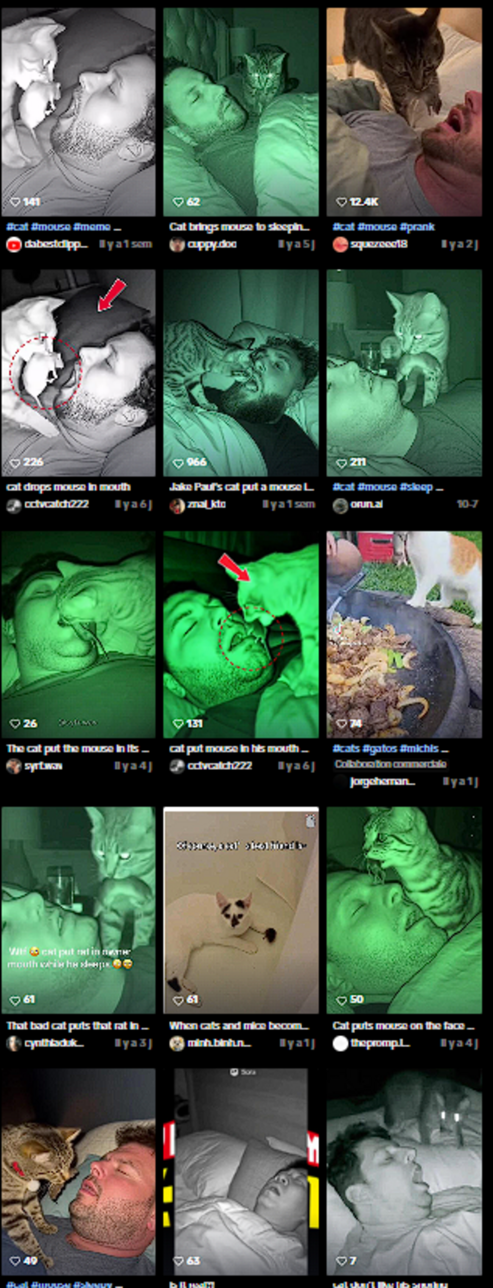 Many AI-generated surveillance footage videos showing cats feeding their masters are circulating online.