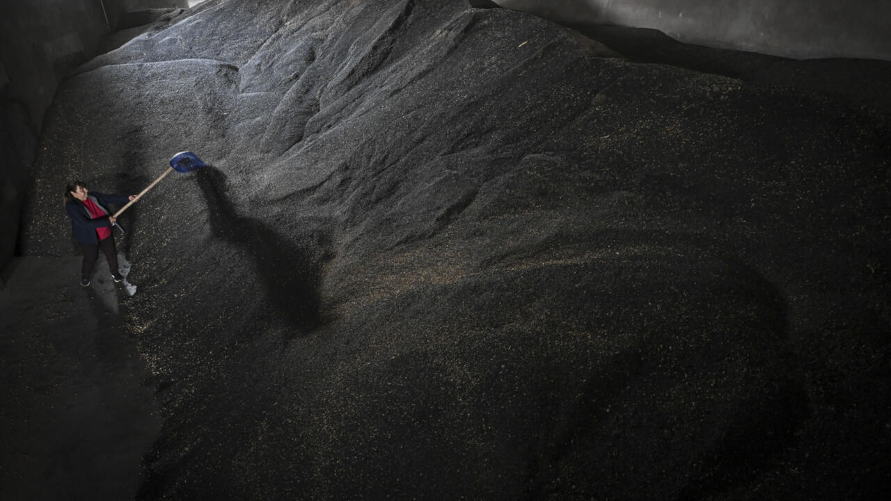 Cereals Ukraine's western neighbours still on their feet Teller Report