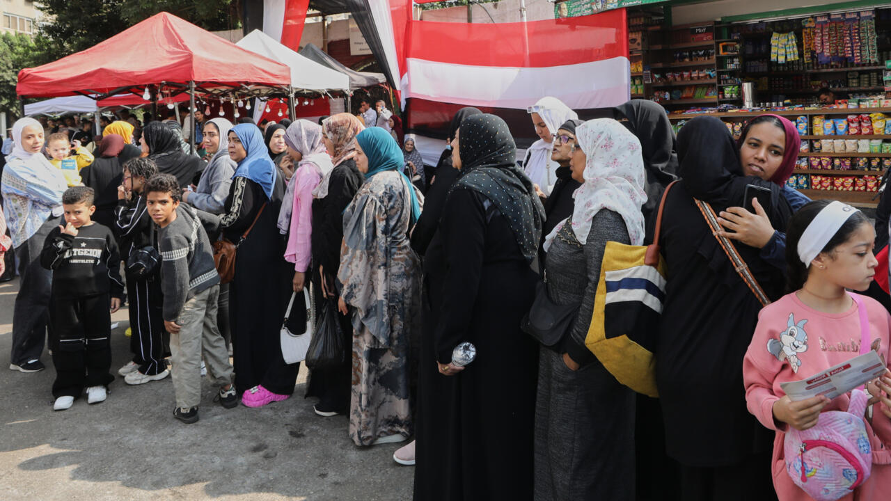 مصر: إلغاء ربع نتائج المرحلة الأولى من الانتخابات التشريعية بسبب "مخالفات"