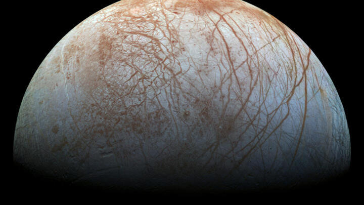 Does Europa contain the ingredients that would allow life to be present?