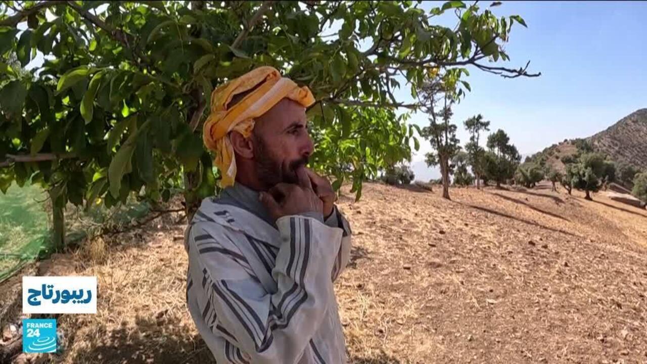 لغة الصفير.. "كنز" تراثي ثقافي مهدد بالاندثار في المغرب