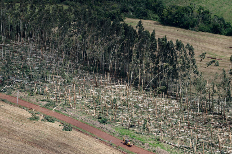 Una vista aérea muestra los árboles dañados tras el paso de un tornado por Río Bonito do Iguaçu, en el estado brasileño de Paraná, el 8 de noviembre de 2025.