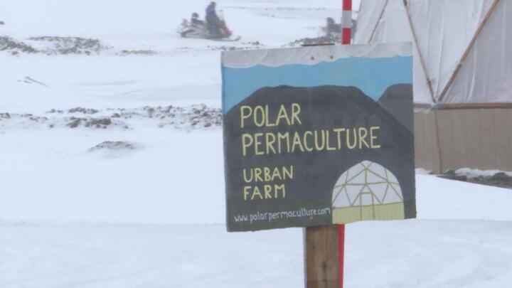 Arctic farmer defies icy conditions to grow vegetables